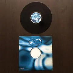 Disciples of Torak Flipside / Hypnotik Break Vinyl 12" WRRD Japan