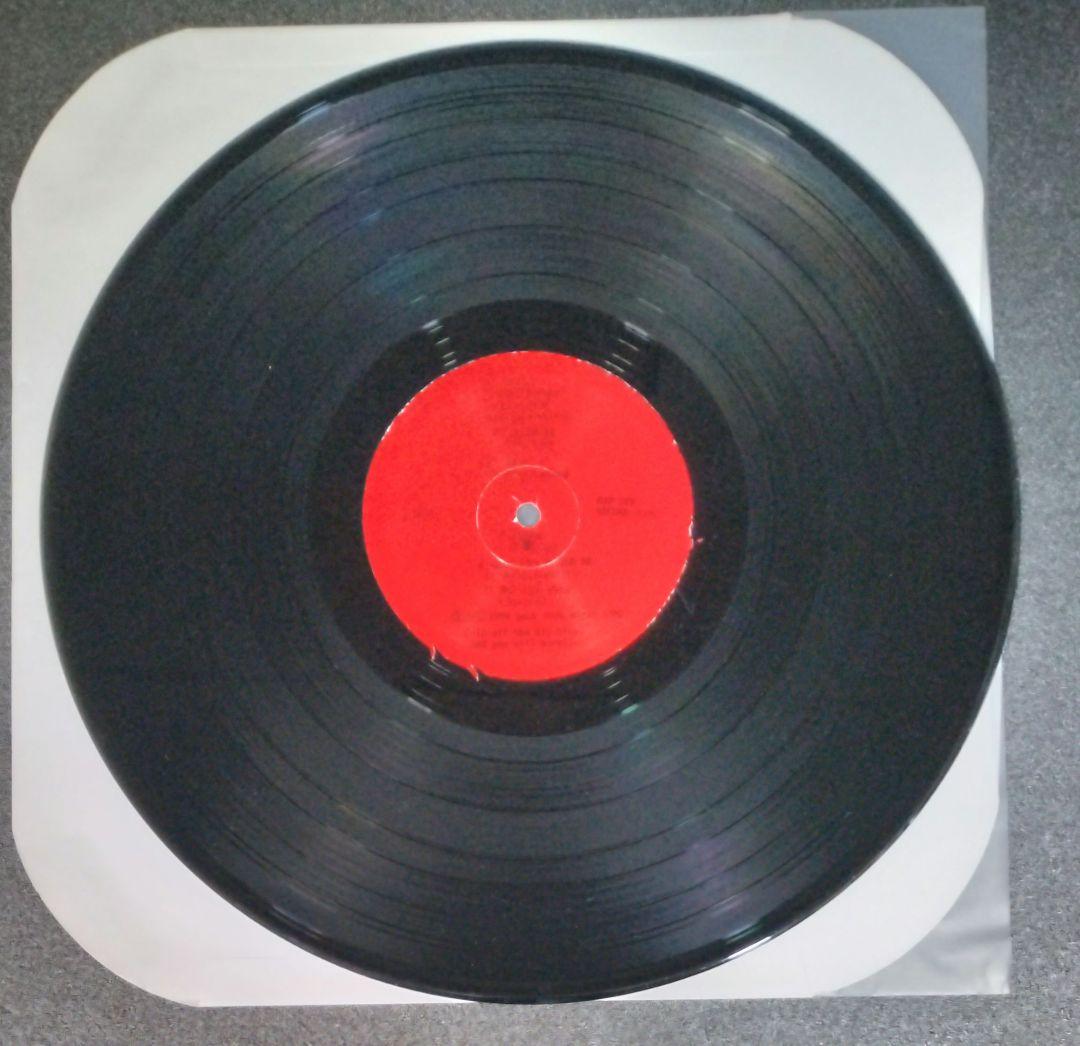 The Rip Offs - Got A Record LP Vinyl Punk Garage Rock US Pressing