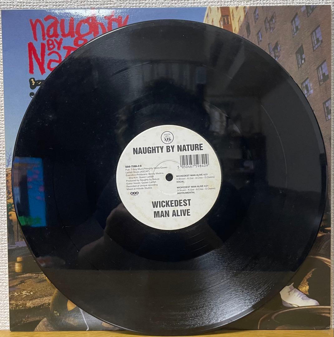 Naughty By Nature - O.P.P. 12" Vinyl Single Tommy Boy Hip Hop Classic