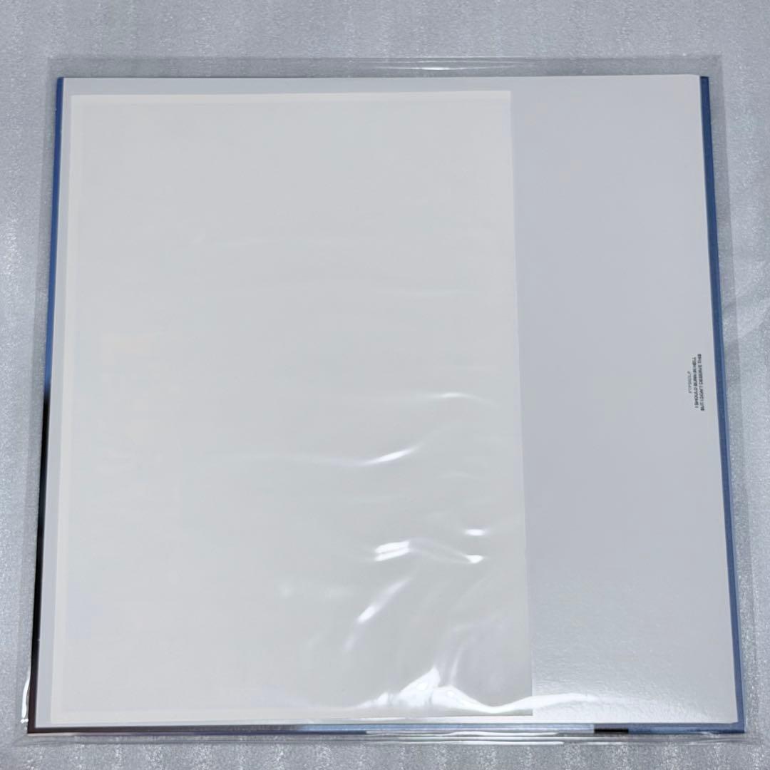 Geese Getting Killed Japan Limited Clear Vinyl LP Obi Poster Key Chain | Japansoundstore