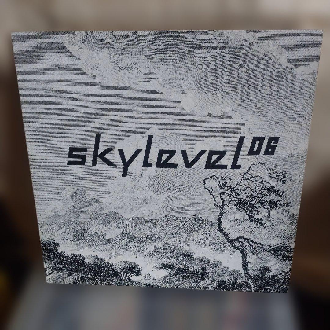 Skylevel 06 Black Record with Landscape Artwork, Used, Slight Wear | Japansoundstore