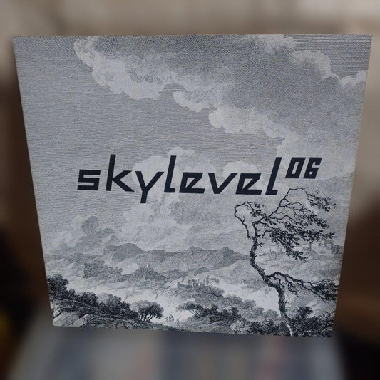 Skylevel 06 Black Record with Landscape Artwork, Used, Slight Wear | Japansoundstore