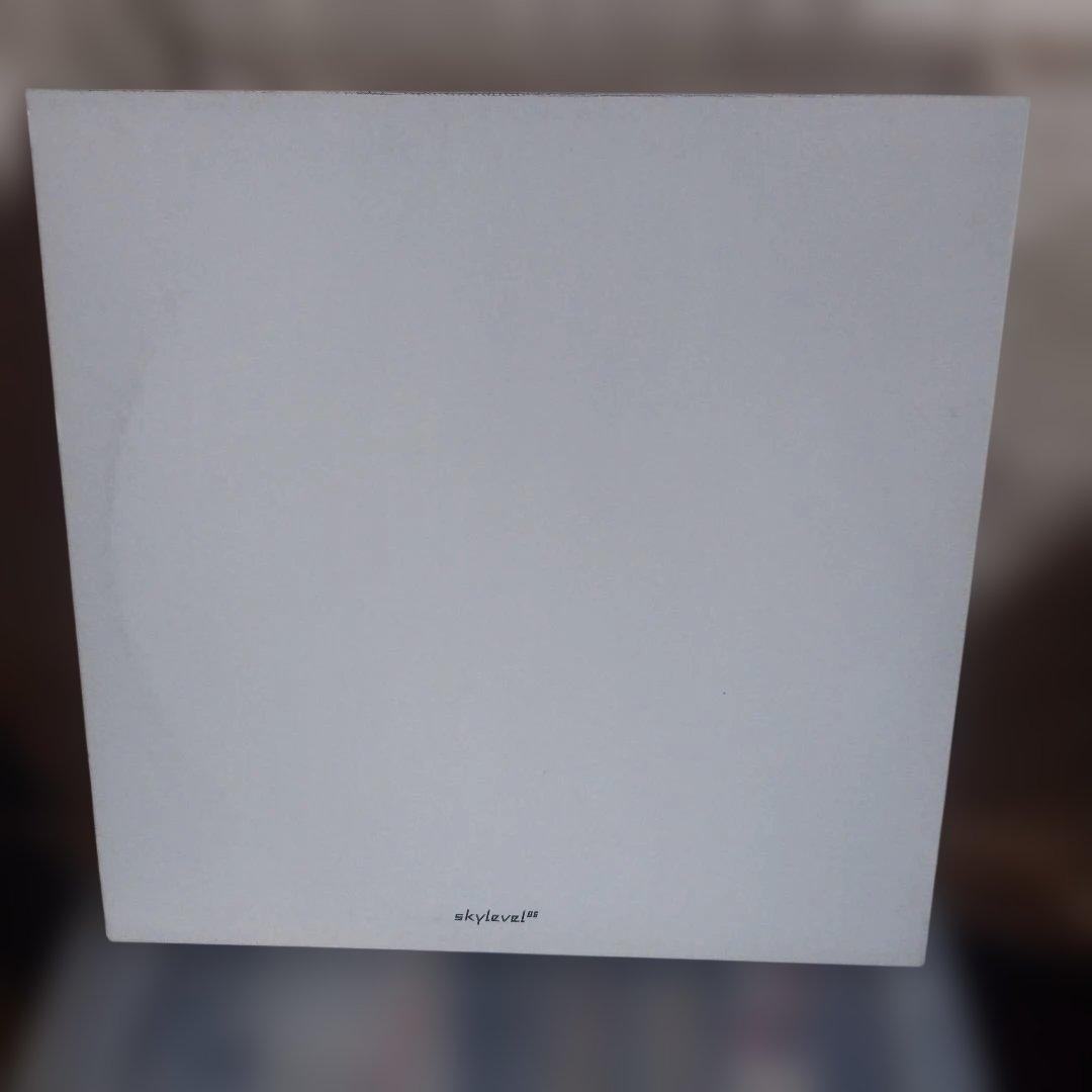 Skylevel 06 Black Record with Landscape Artwork, Used, Slight Wear | Japansoundstore