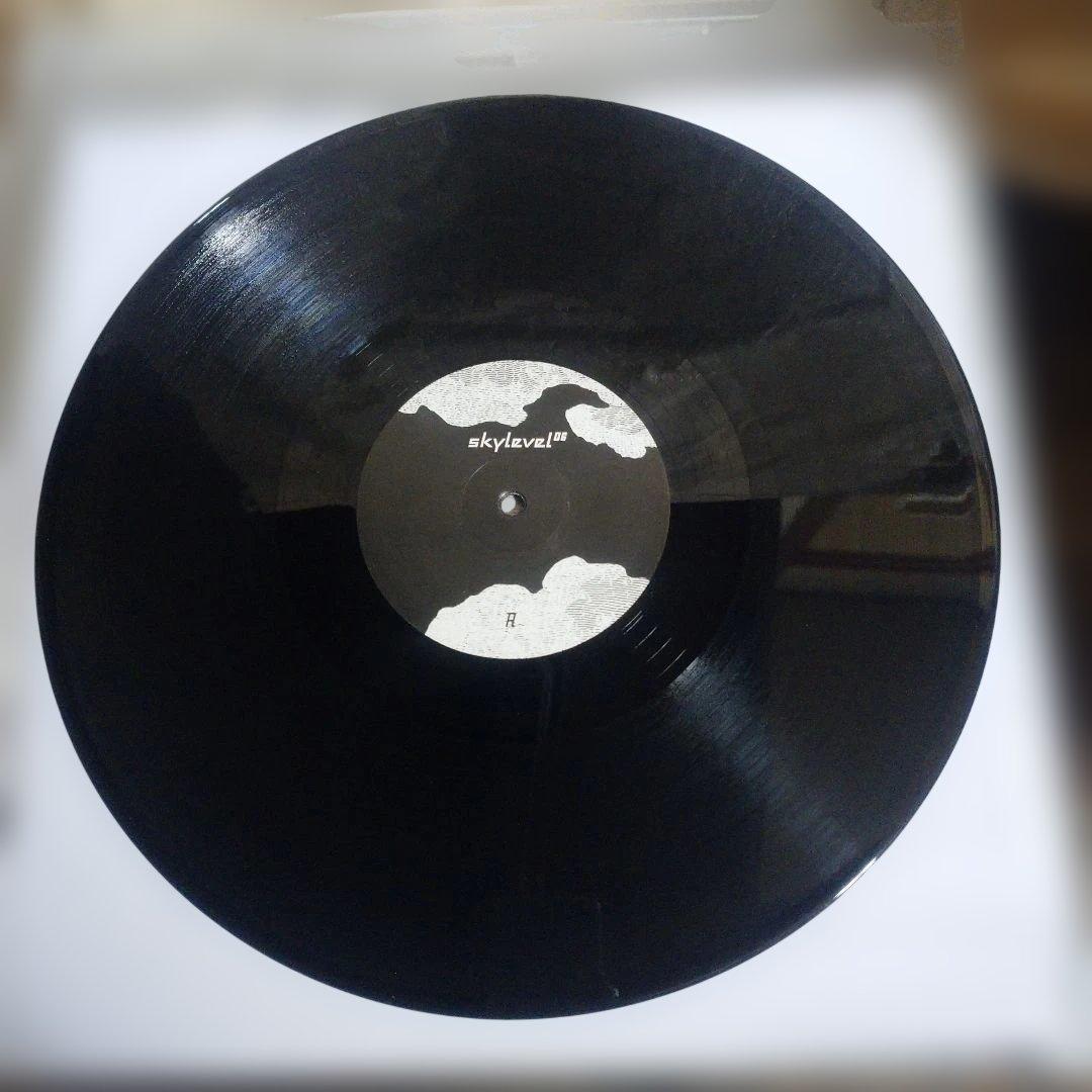 Skylevel 06 Black Record with Landscape Artwork, Used, Slight Wear | Japansoundstore