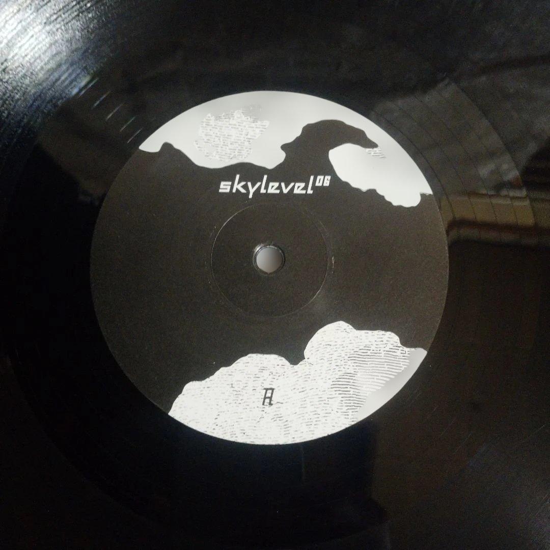 Skylevel 06 Black Record with Landscape Artwork, Used, Slight Wear | Japansoundstore