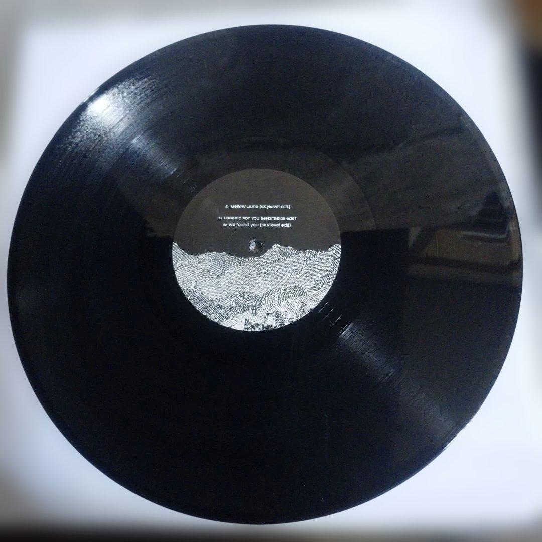 Skylevel 06 Black Record with Landscape Artwork, Used, Slight Wear | Japansoundstore