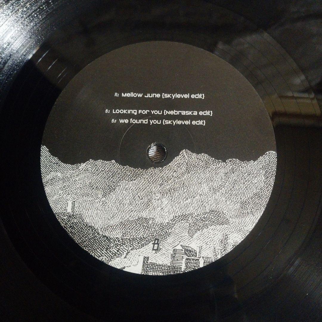 Skylevel 06 Black Record with Landscape Artwork, Used, Slight Wear | Japansoundstore