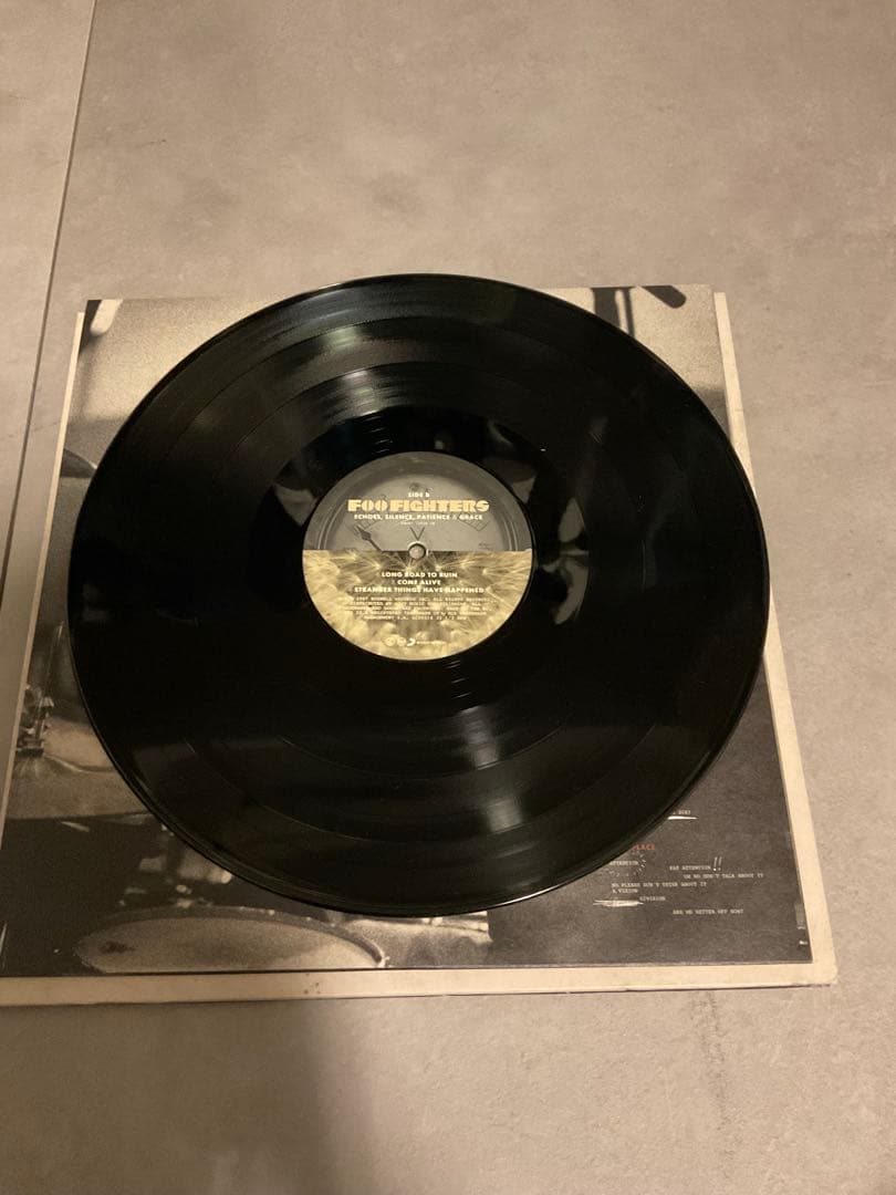 Foo Fighters Echoes Silence Patience & Grace LP Record, Black, Used, Slight Dama | Japansoundstore
