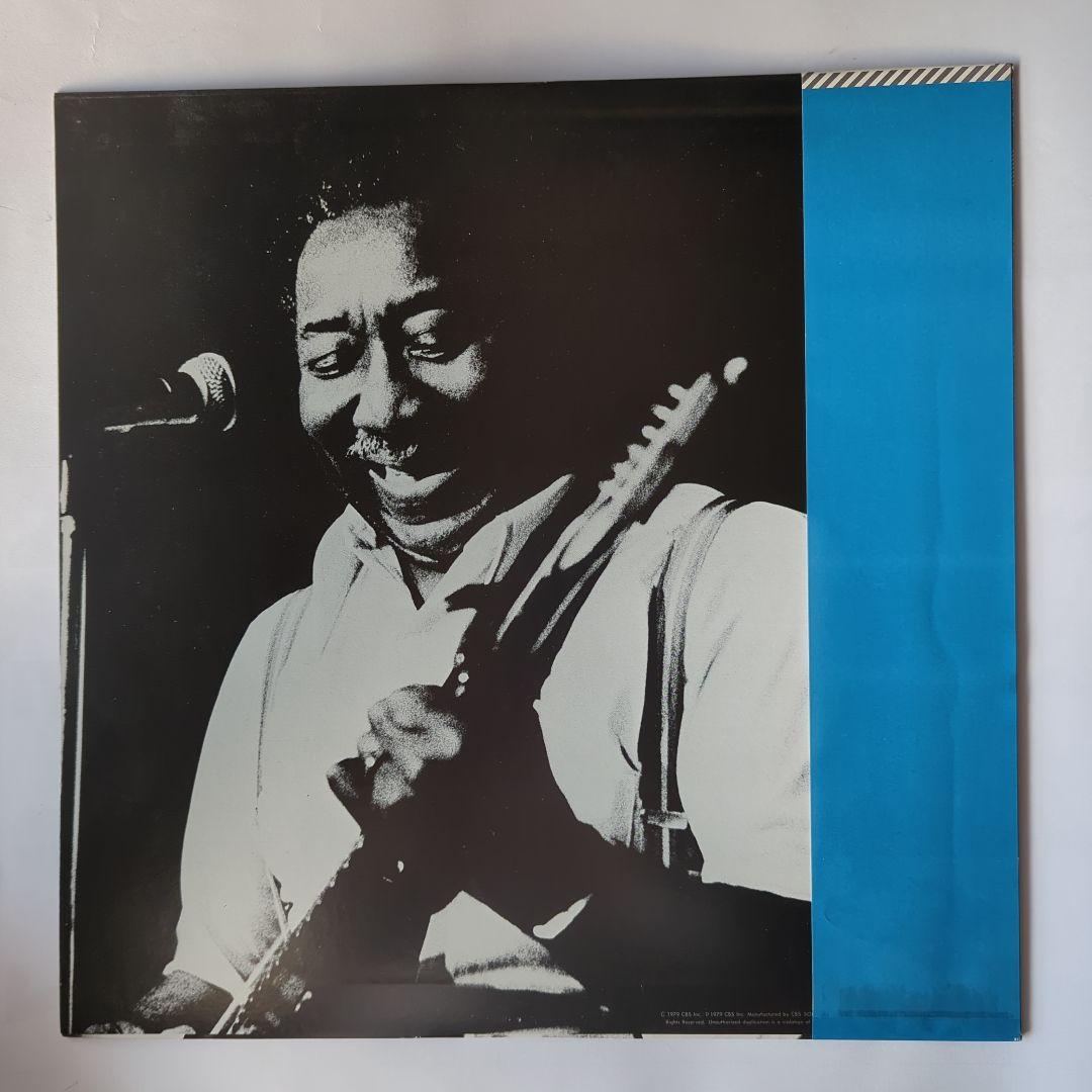 Muddy Waters - Muddy "Mississippi" Waters Live LP Japan Pressing w/ OBI Blues
