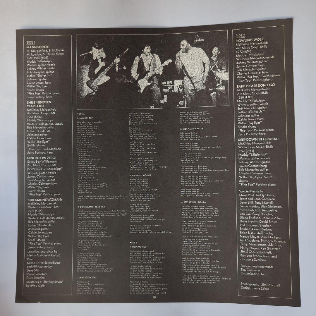 Muddy Waters - Muddy "Mississippi" Waters Live LP Japan Pressing w/ OBI Blues