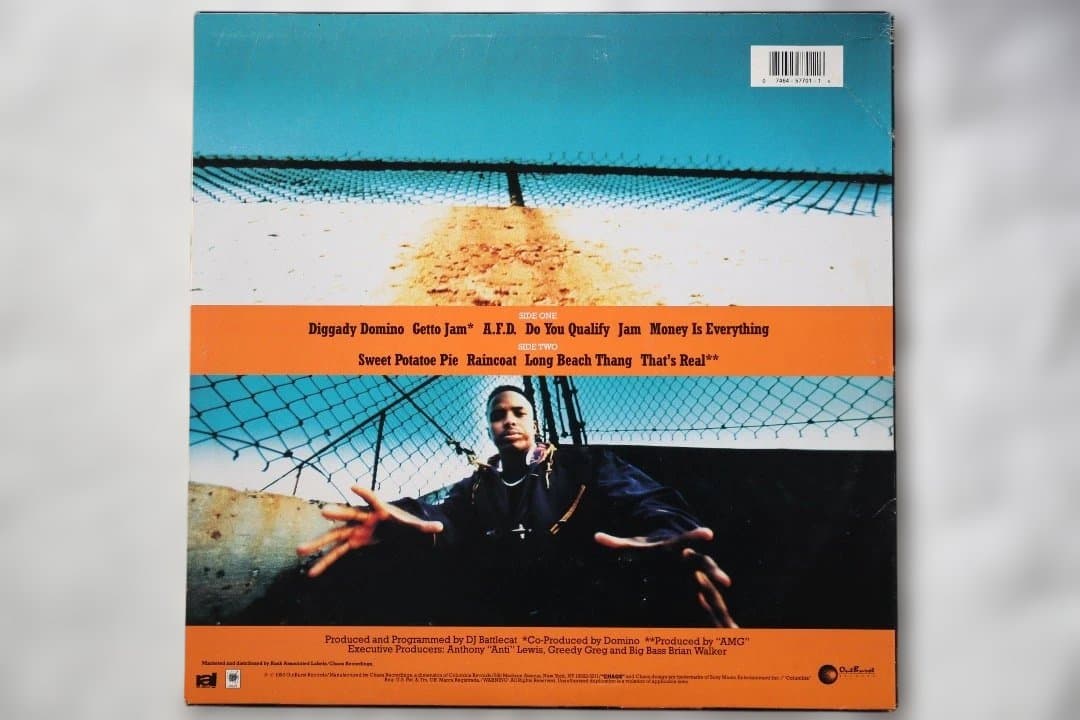 Domino - Domino Vinyl LP 1993 Hip Hop West Coast Outburst Records
