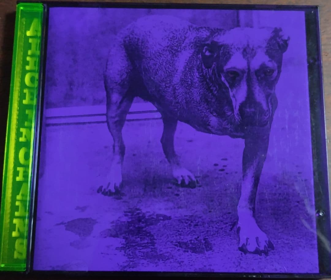 Alice In Chains - Self-Titled (Tripod) CD - Neon Green Jewel Case Edition