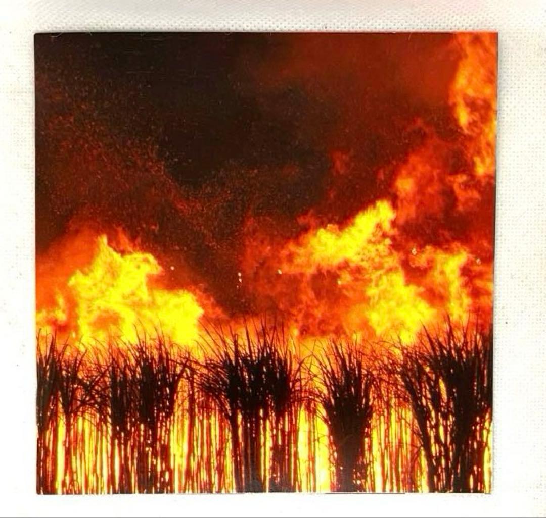Sleigh Bells - Reign of Terror - CD - Noise Pop - 2012 Digipak Import