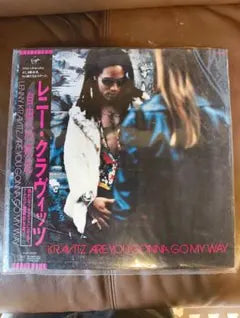 Lenny Kravitz - Are You Gonna Go My Way Vinyl LP Japan Pressing w/ Obi