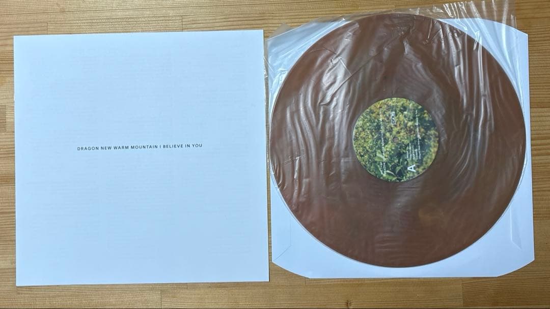 Big Thief Dragon  Warm Mountain 2LP Limited Random Color Vinyl Used | Japansoundstore