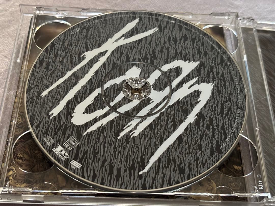 Korn Follow the Leader Signed 2CD Limited Import Edition Excellent Condition | Japansoundstore