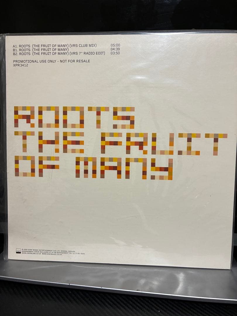 LSK - Roots (The Fruit Of Many) 12" Vinyl Record UK Promo 2000 Electronic