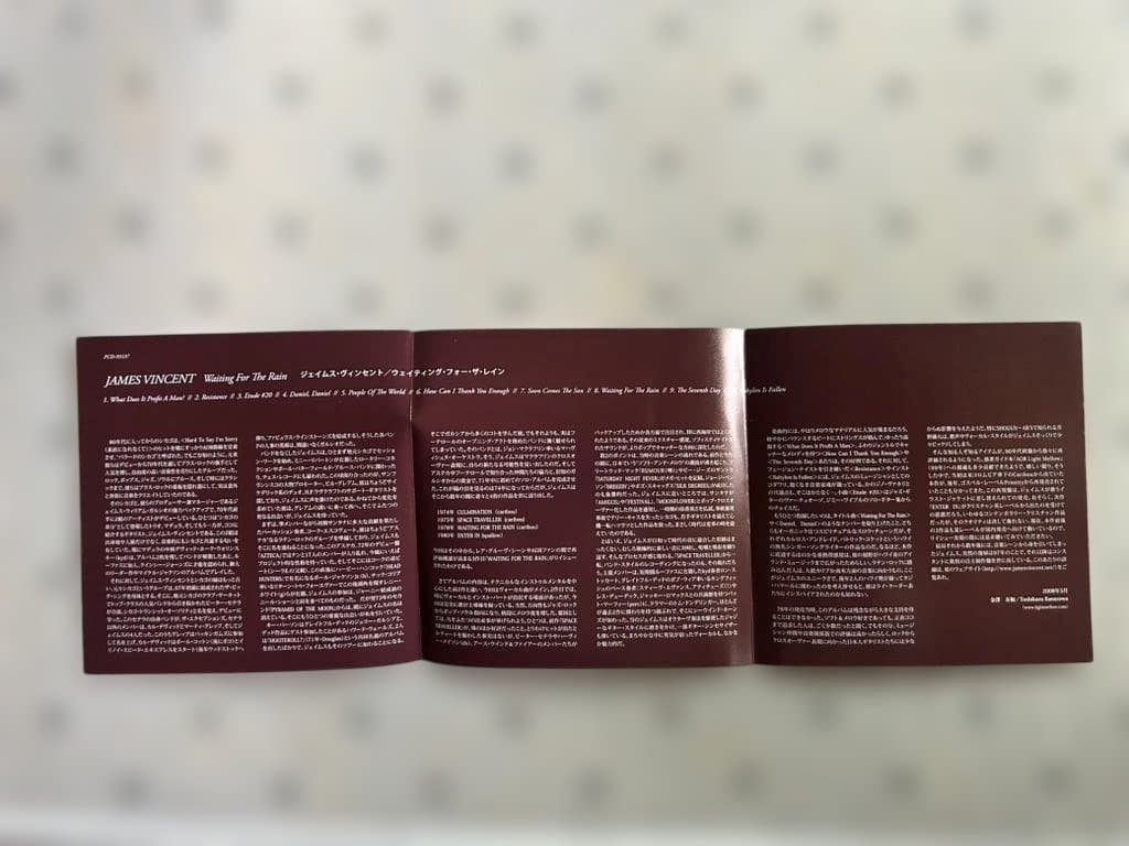 James Vincent Waiting For The Rain Japan CD Mini LP Paper Sleeve with OBI 2008