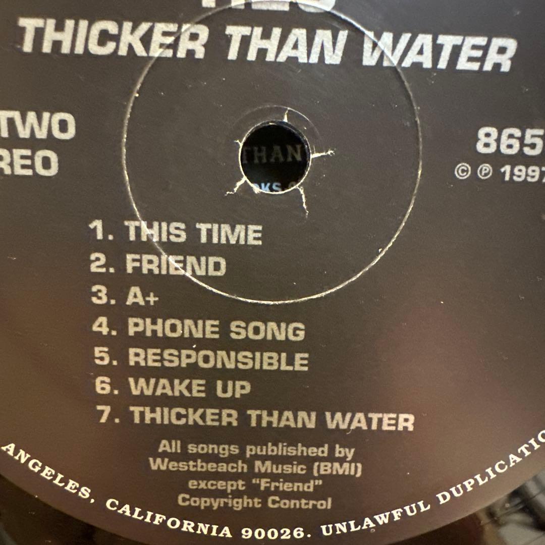 H2O Thicker Than Water Vinyl LP 1997 Epitaph Records Hardcore Punk