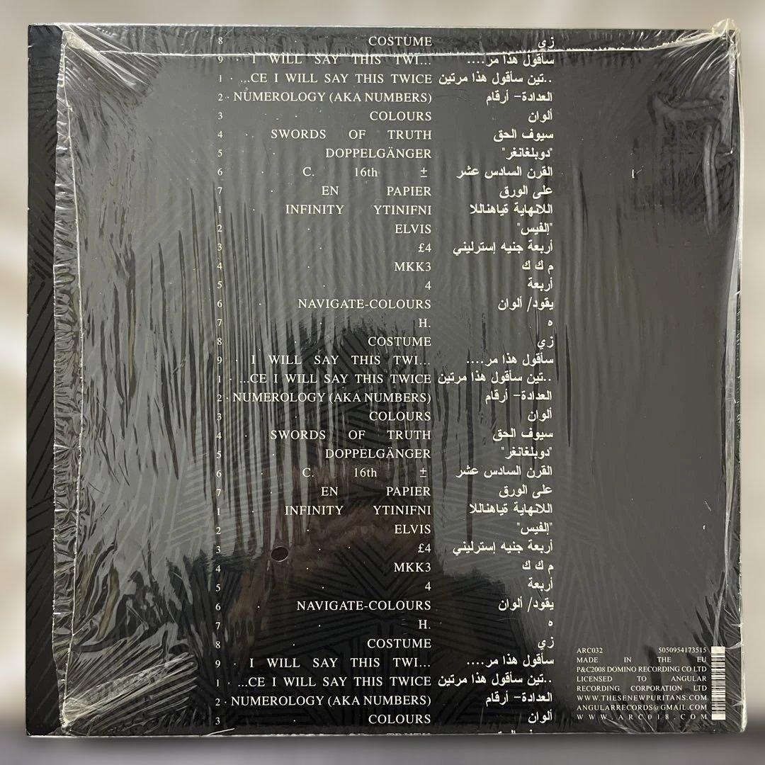 These Puritans Beat Pyramid LP Vinyl 2008 Indie Art Rock Record
