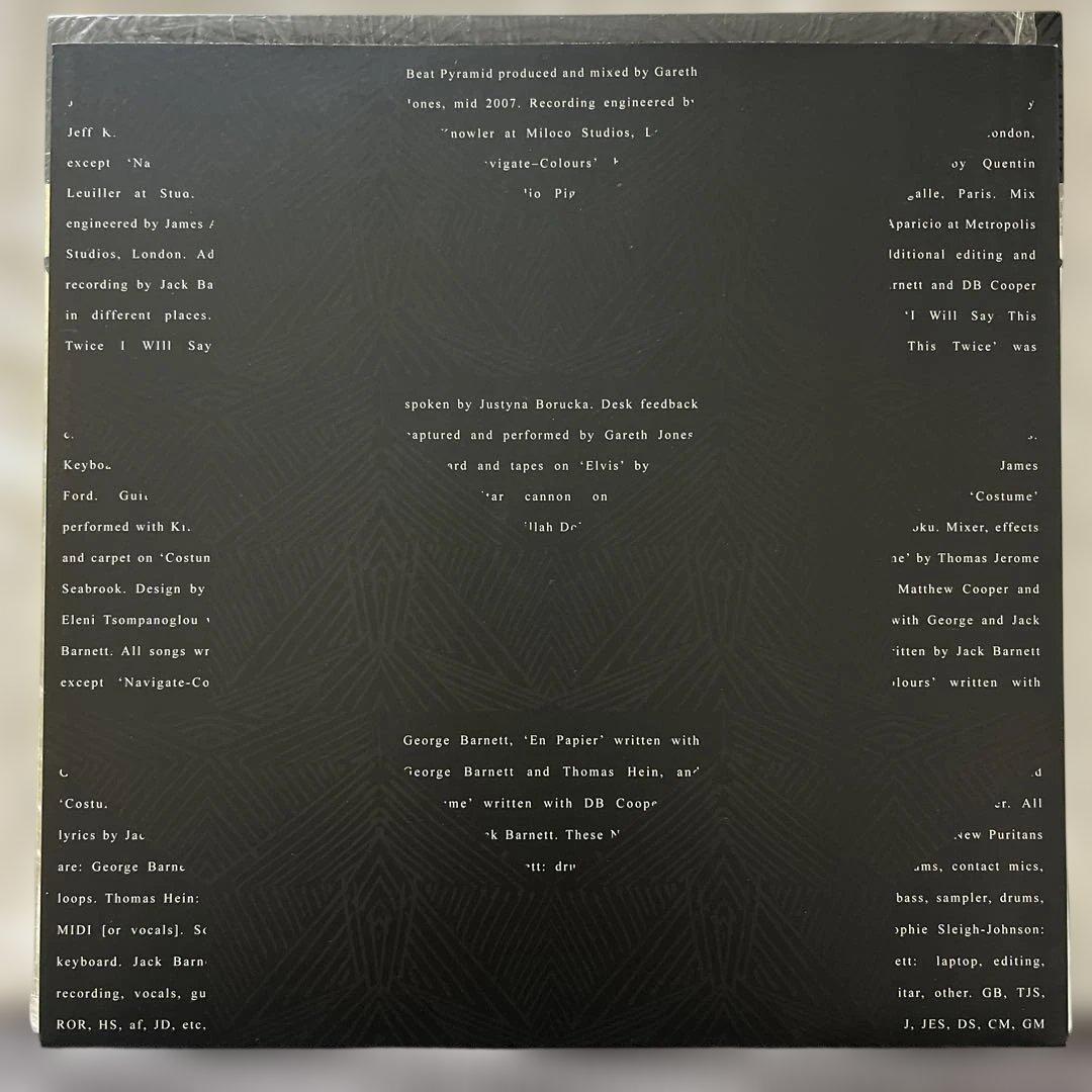 These Puritans Beat Pyramid LP Vinyl 2008 Indie Art Rock Record