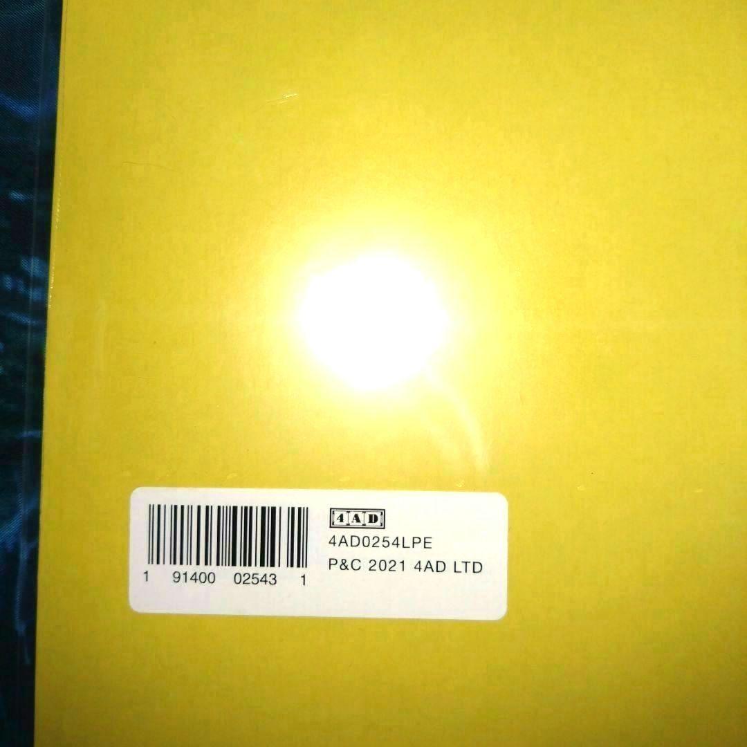 Dry Cleaning - Long Leg Vinyl LP Yellow Vinyl Import Edition