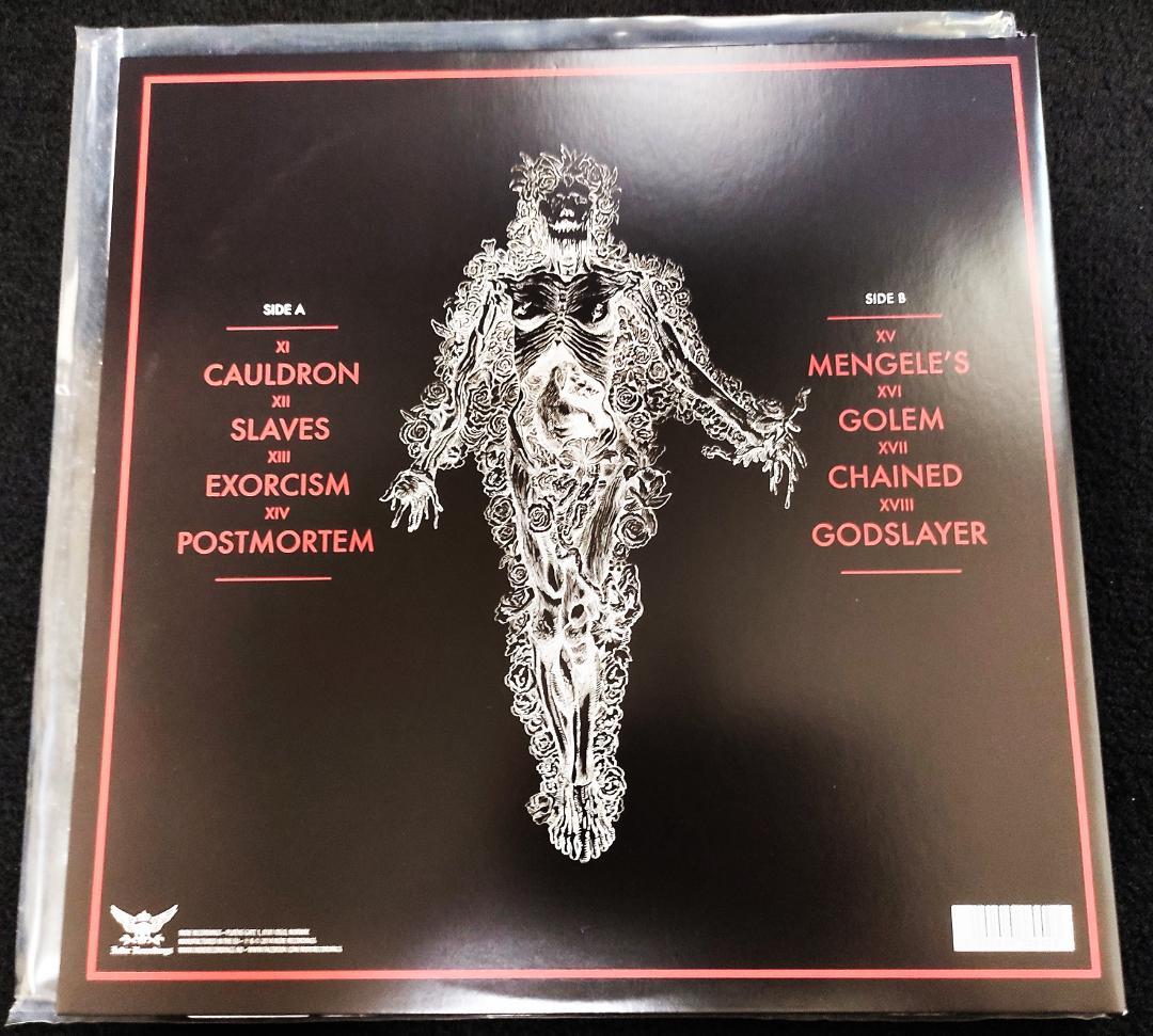 1349 Massive Cauldron of Chaos LP Clear Vinyl Black Metal Record Indie Rec