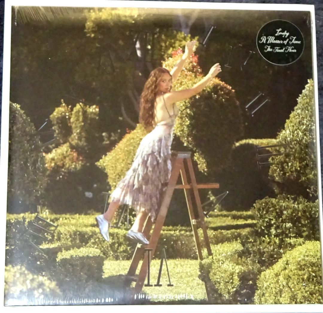 Lovely A Matter of Time Orange Vinyl 20 Tracks  Sealed | Japansoundstore