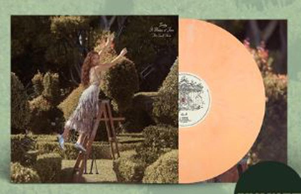 Lovely A Matter of Time Orange Vinyl 20 Tracks  Sealed | Japansoundstore