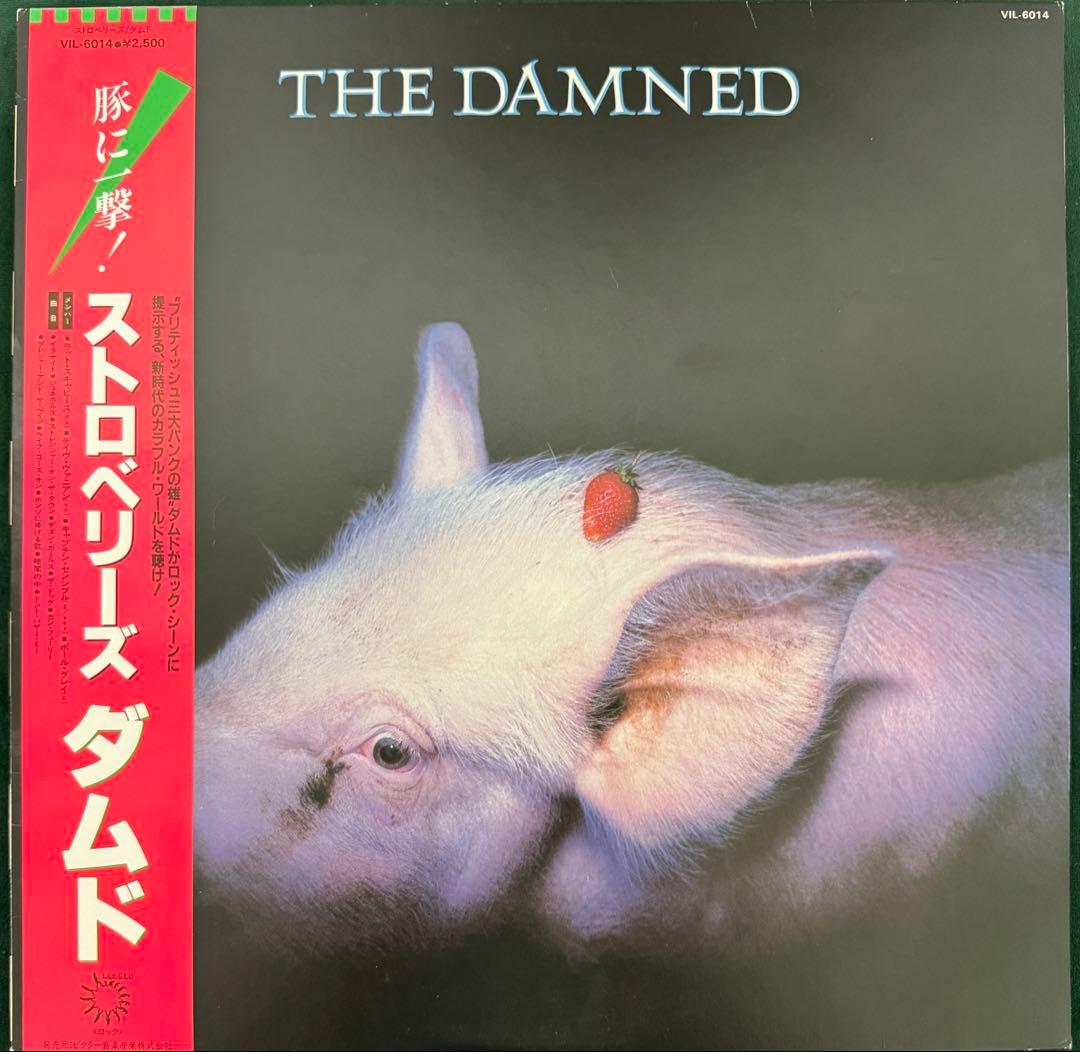 Damed Vinyl Record Japan OBI Very Good Condition SA/SA | Japansoundstore
