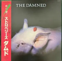 The Damned - Strawberries Vinyl LP Japan Pressing w/ Obi Punk Classic