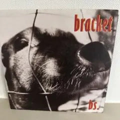 Bracket - why should eye / missing link 7" Red Vinyl Fat Wreck Chords Punk