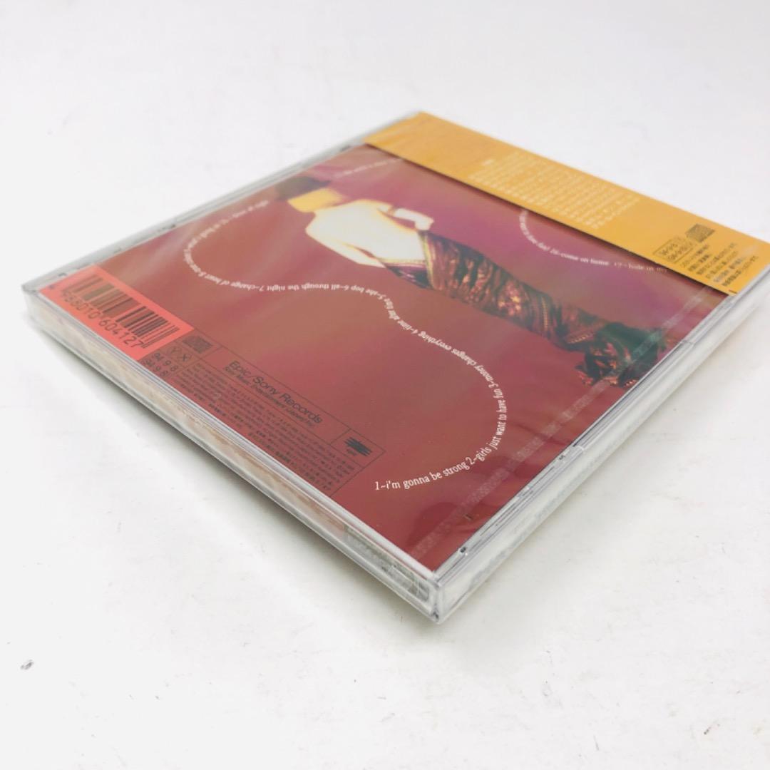 Cyndi Lauper Greatest Hits CD Japan Out of Print Collector 1994 | Japansoundstore