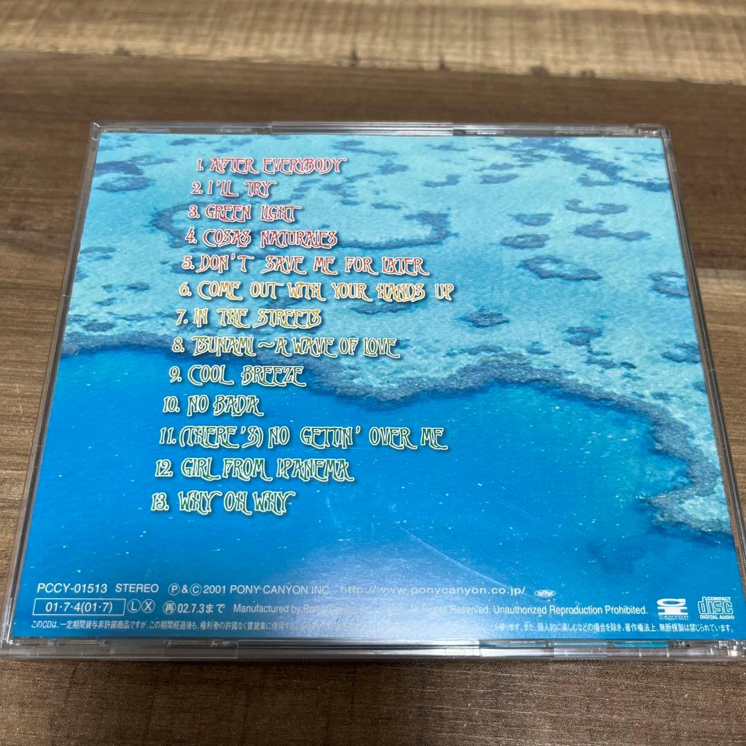 BIG MOUNTAIN Cool Breeze Japan CD 2001 Pony Canyon Reggae