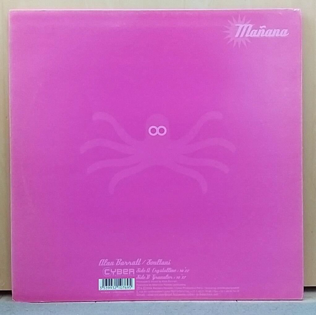 Alan Barratt Crystalline EP 12" Vinyl Electronic House Techno France Pressing
