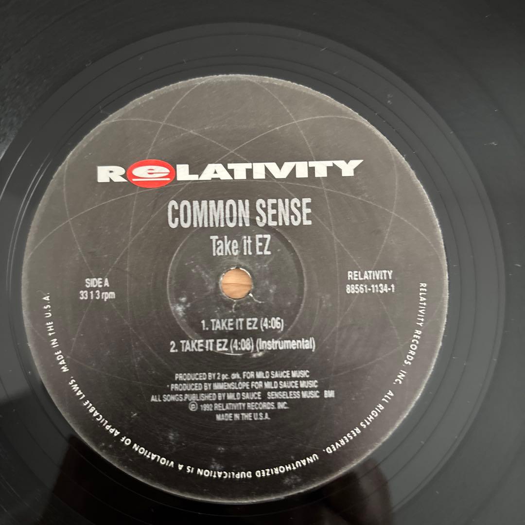 Common Sense - Take It EZ 12" Single 1992 Hip Hop Original Relativity Vinyl