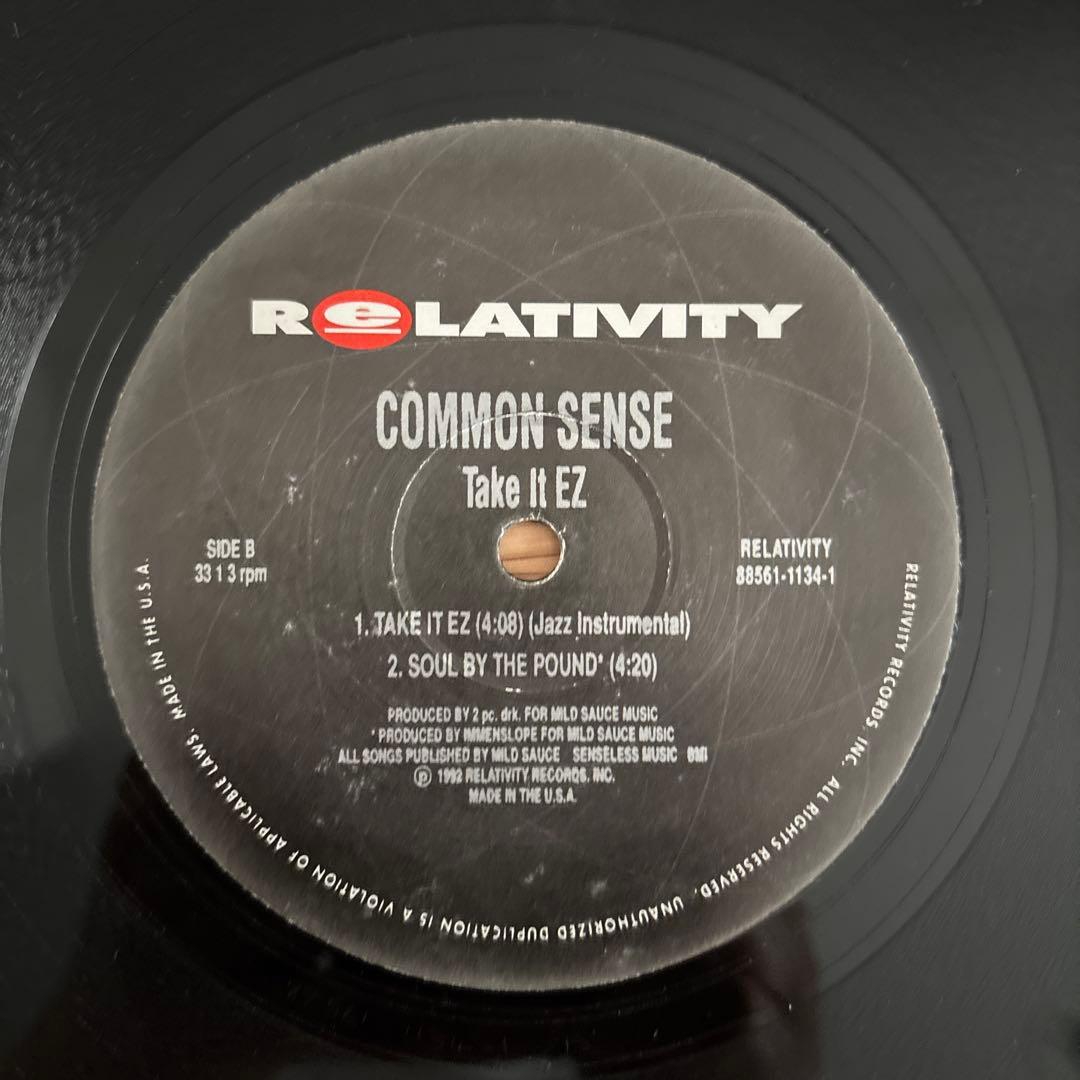 Common Sense - Take It EZ 12" Single 1992 Hip Hop Original Relativity Vinyl
