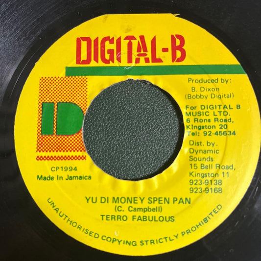 Terro Fabulous - Yu Di Money Spen Pan - 7" Vinyl Digital-B 1994 Reggae Dancehall