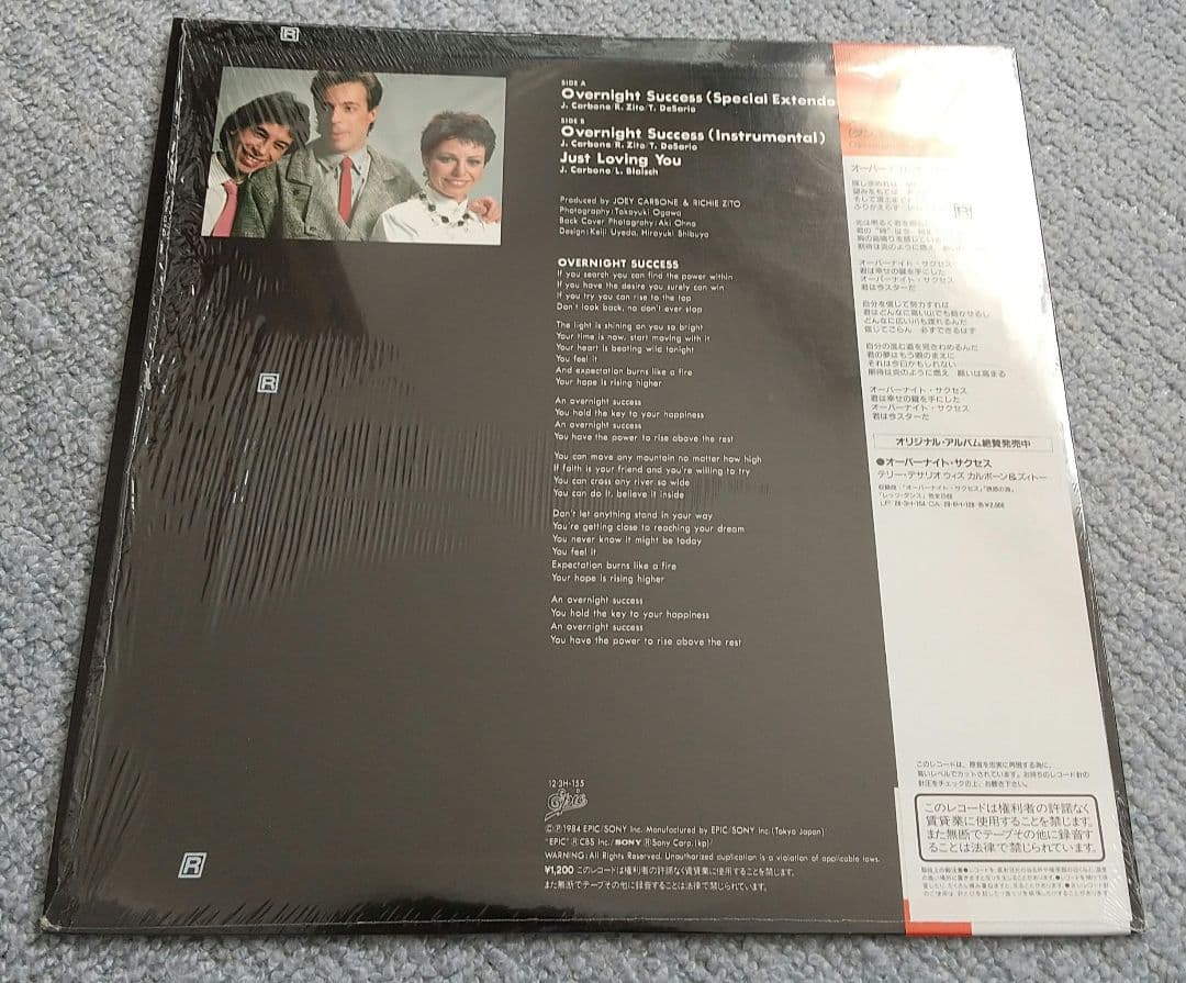 Teri Desario - Overnight Success 12" Japan Special Extended Dance Mix Vinyl