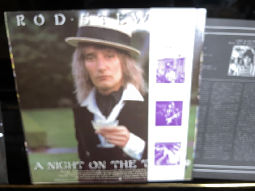 Rod Stewart Vinyl Record, Japanese Domestic Edition with Obi, Near Mint | Japansoundstore