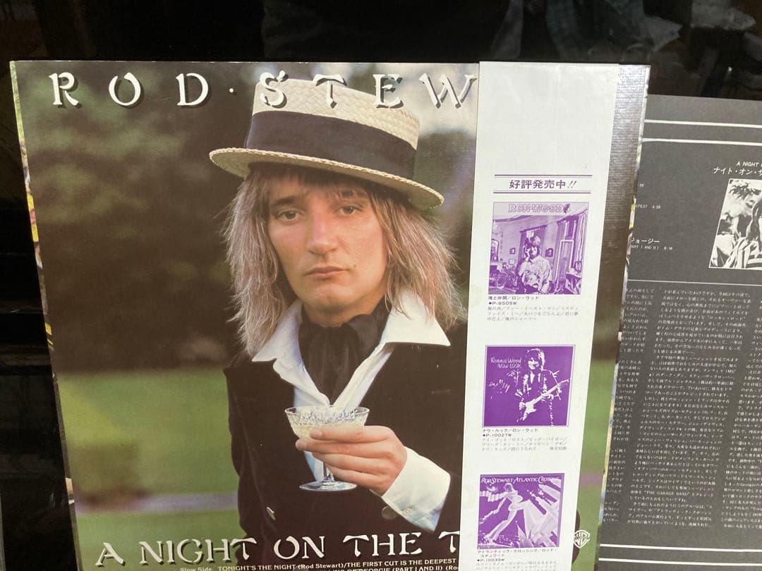 Rod Stewart Vinyl Record, Japanese Domestic Edition with Obi, Near Mint | Japansoundstore
