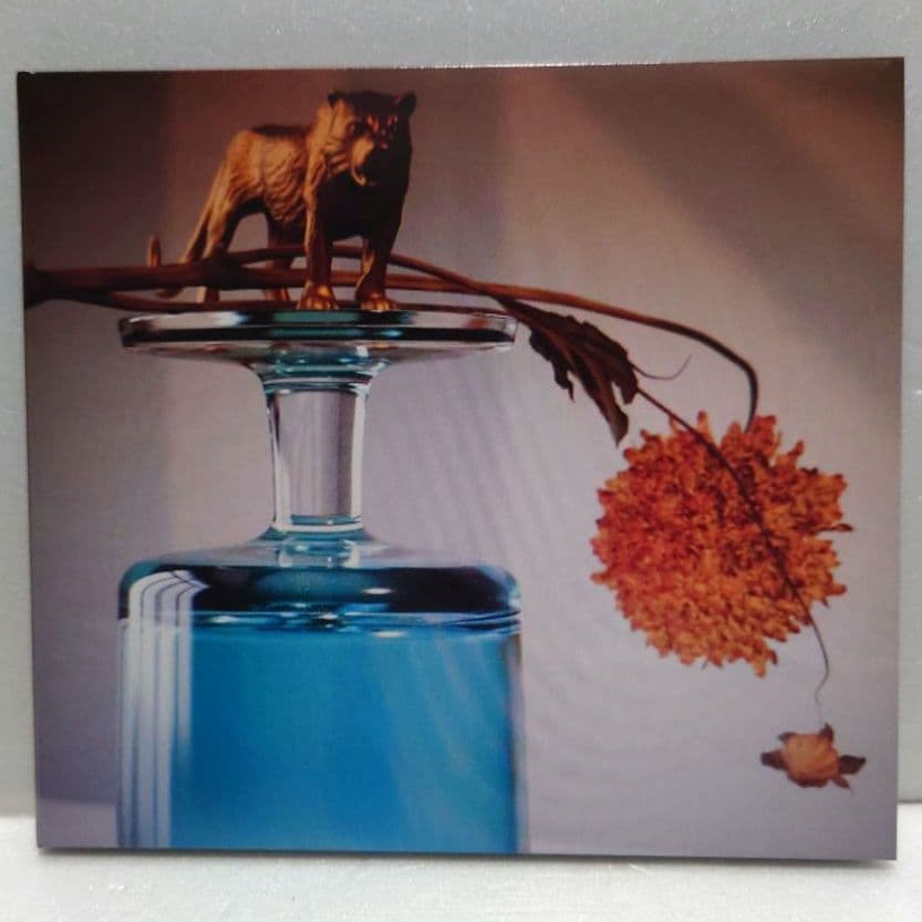 Beirut - Gallipoli CD Japan Press with OBI 2019 Paper Sleeve Edition