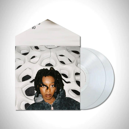 Little Simz No Thank You Vinyl LP Japanese Obi Near Mint | Japansoundstore