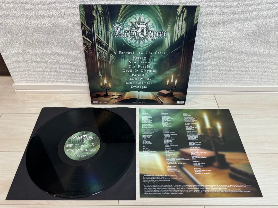 Zero Degree What We Become LP Green Marbled 100 Limited Melodic Death Metal Used | Japansoundstore