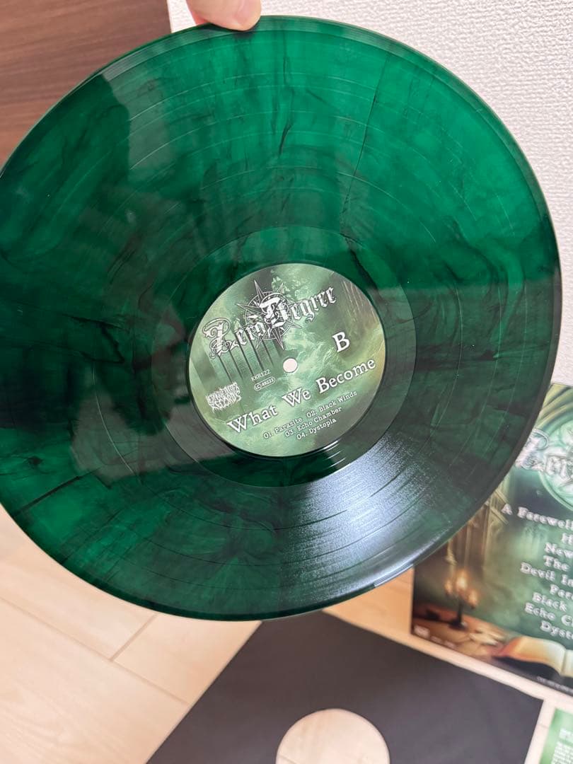 Zero Degree What We Become LP Green Marbled 100 Limited Melodic Death Metal Used | Japansoundstore