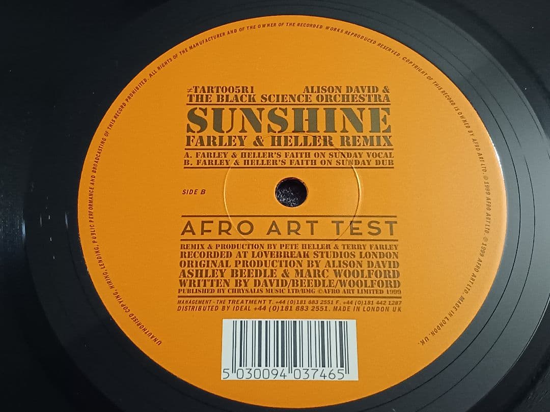 Alison David & The Black Science Orchestra - Sunshine 12" Vinyl 1999 UK House