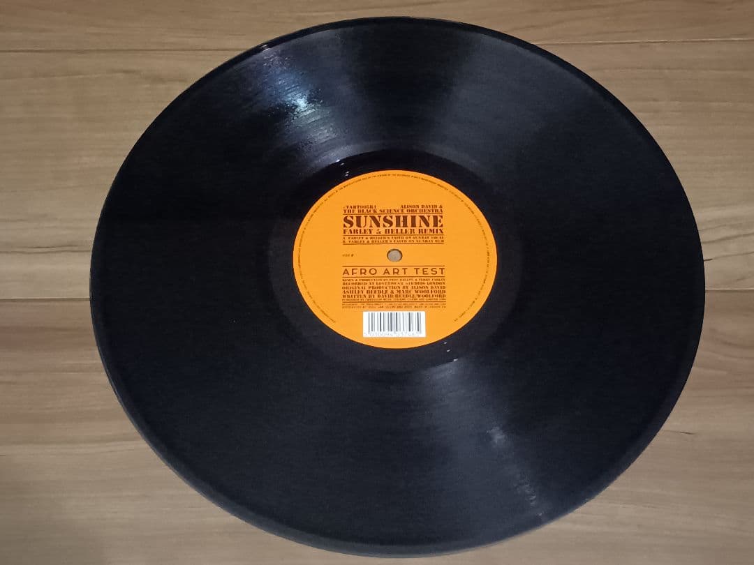Alison David & The Black Science Orchestra - Sunshine 12" Vinyl 1999 UK House