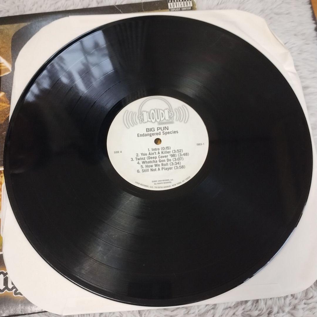 Big Pun - Endangered Species 2LP Compilation Album Vinyl Hip Hop Classic