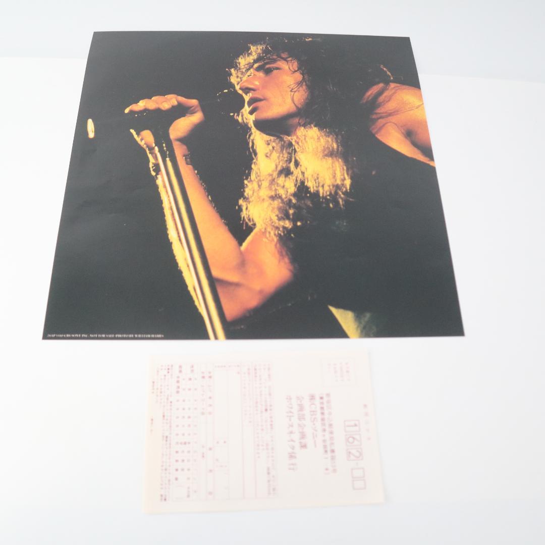 Whitesnake - 1987 (Self-Titled) LP Japan 28AP 3310 w/ Obi & Pinup