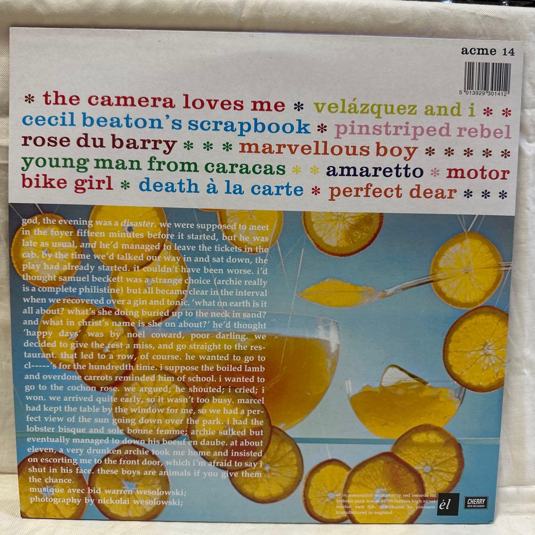 would-be-goods - The Camera Loves Me Vinyl LP Indie Pop Record